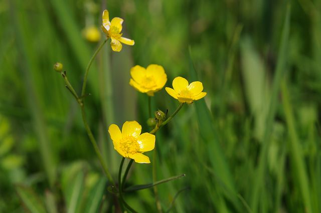 �E�}�m�A�V�K�^