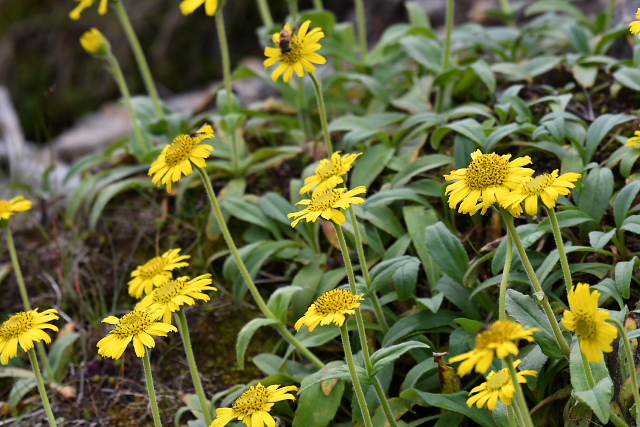 �E�T�M�\�E