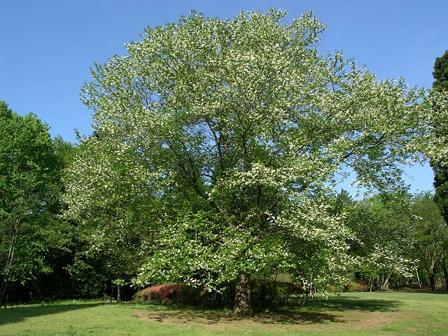 �E���~�Y�U�N��