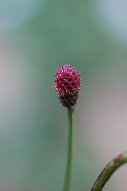 �������R�E