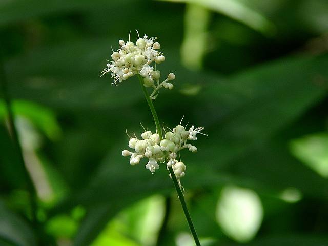 ���u�~���E�K