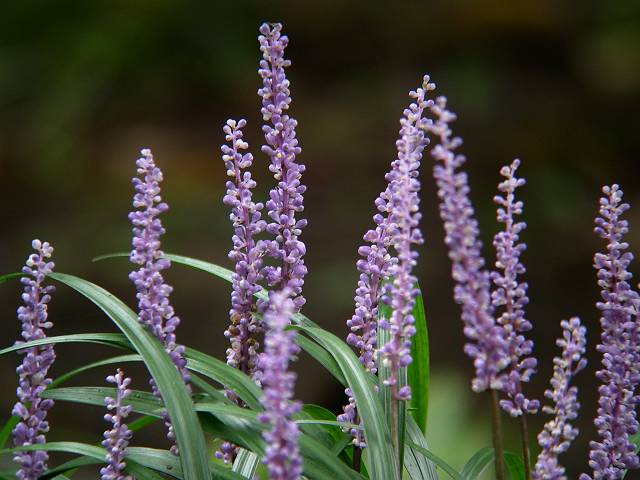 ���u����