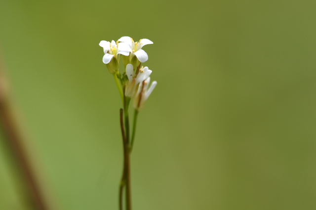 ���}�n�^�U�I