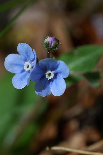 ���}�����\�E