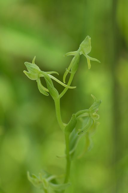 ���}�T�M�\�E