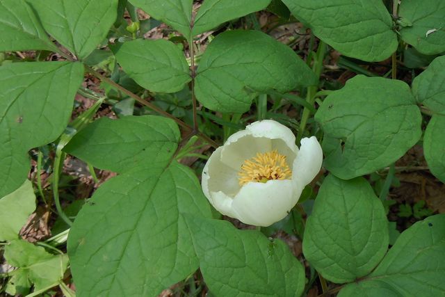 ���}�V���N���N