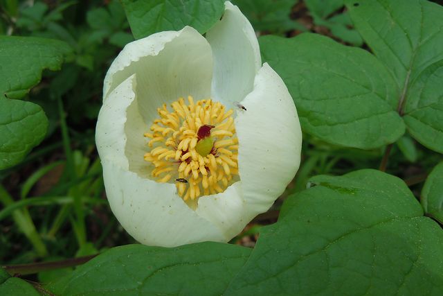 ���}�V���N���N