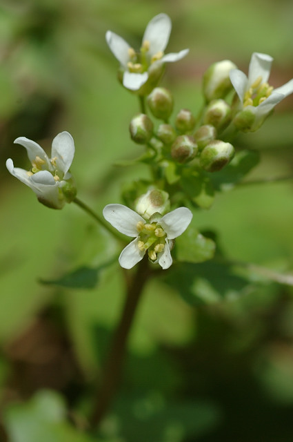 �������T�r