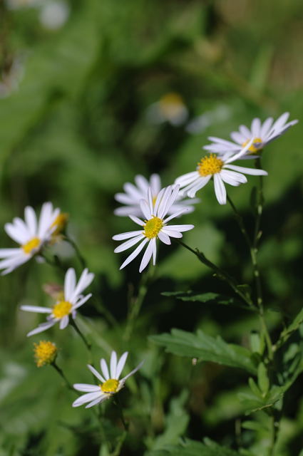 ���E�K�M�N