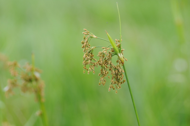 �A�u���K��