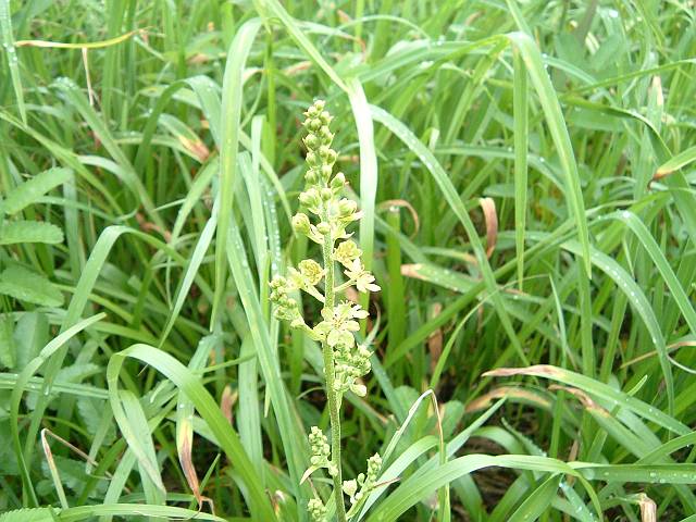 �A�I���M�\�E