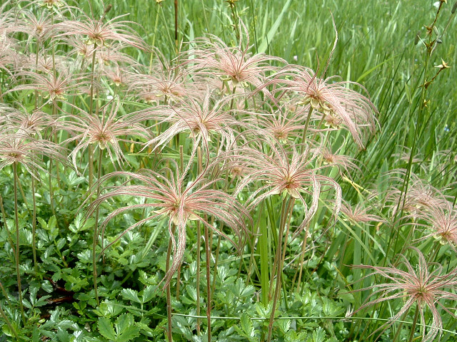 �`���O���}