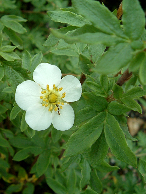 �M�����o�C