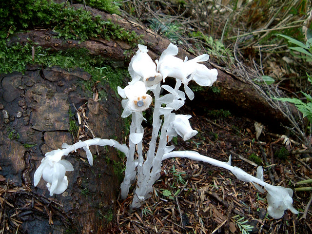 �M�������E�\�E