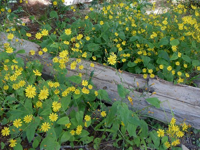 �n�i�j�K�i