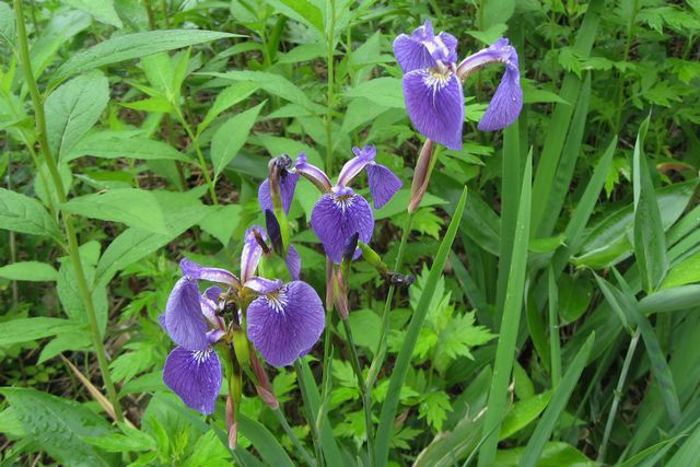 �q�I�E�M�A����