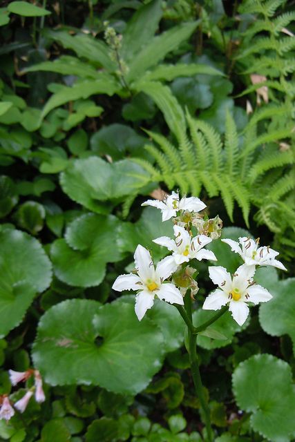 �C���C�`���E