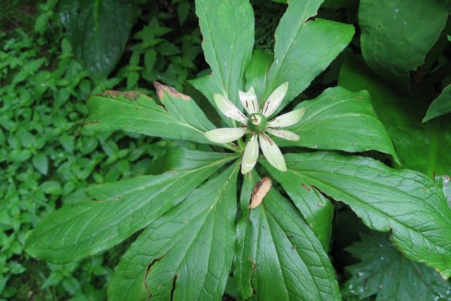 �L�k�K�T�\�E