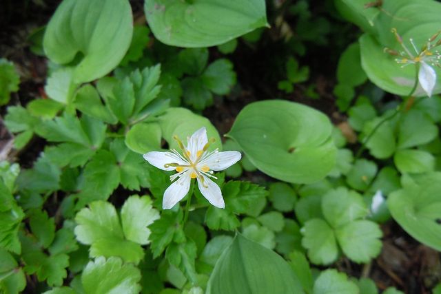 �~�c�o�I�E����