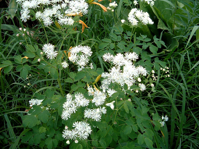 �~���}�J���}�c