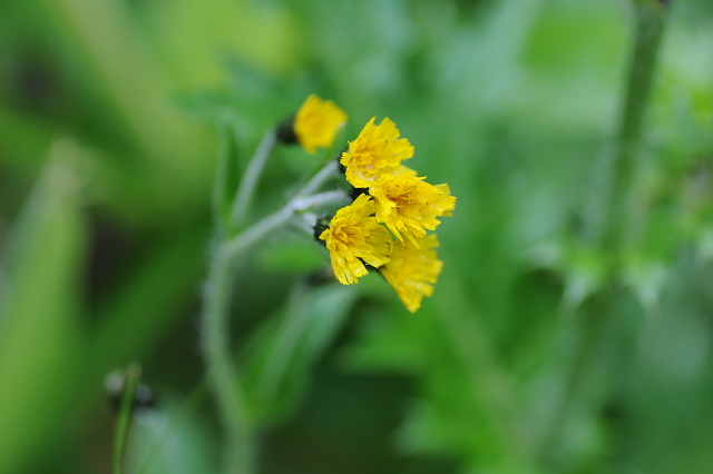 �~���}�R�E�]���i