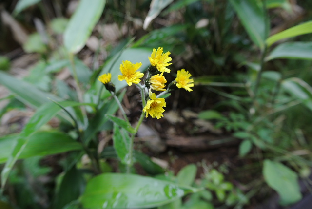 �~���}�R�E�]���i