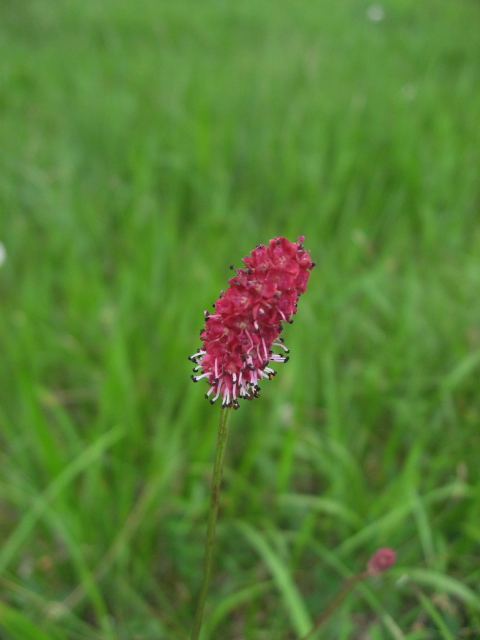 �~���}�������R�E