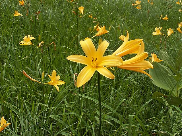 �j�b�R�E�L�X�Q