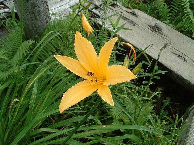 �j�b�R�E�L�X�Q