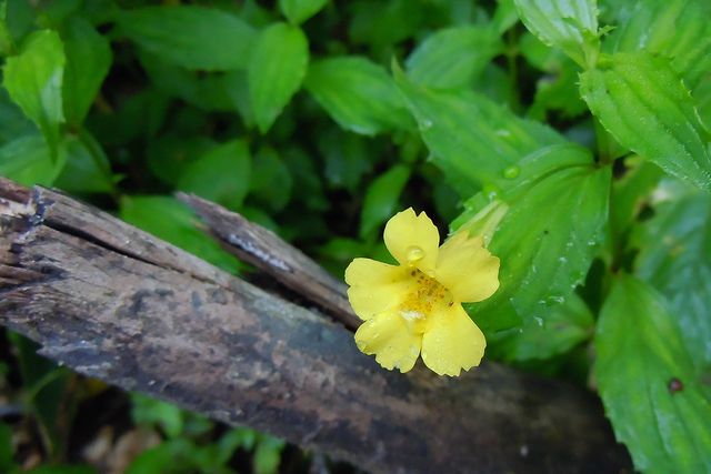 �I�I�o�~�]�z�I�Y�L