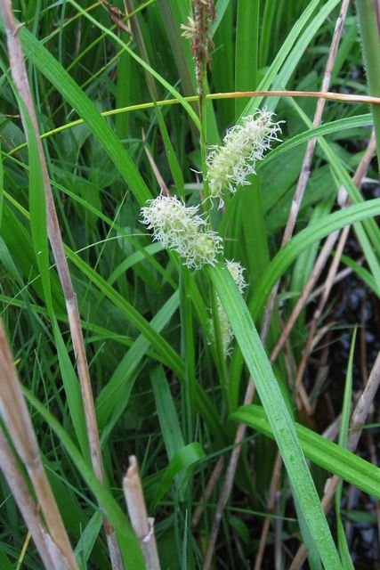 �I�I�J�T�X�Q