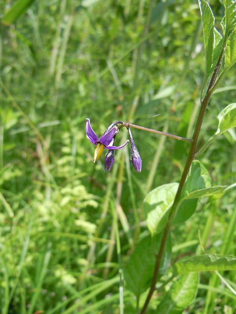 �I�I�}���o�m�z���V