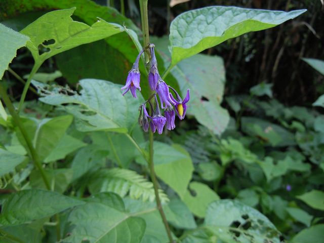 �I�I�}���o�m�z���V