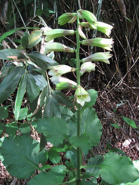 �I�I�E�o����