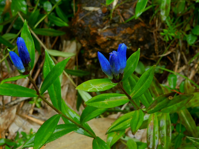 �I���}�����h�E