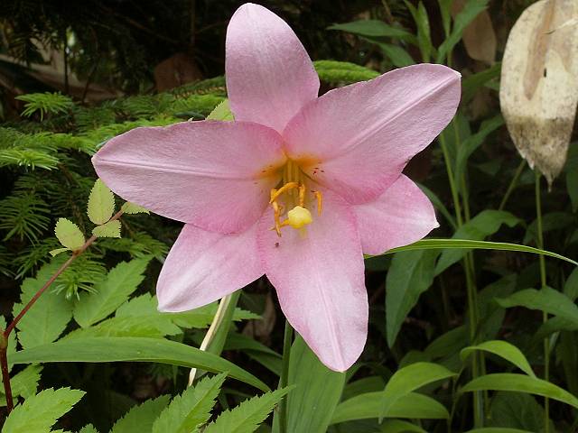 �T�T����