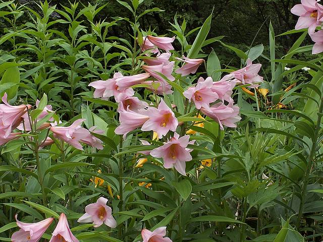 �T�T����