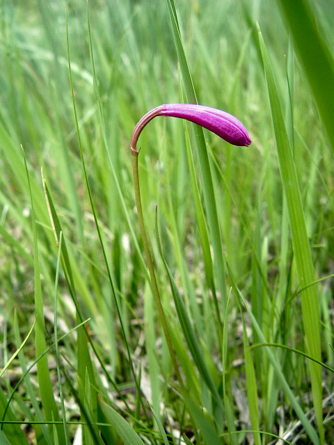 �T������