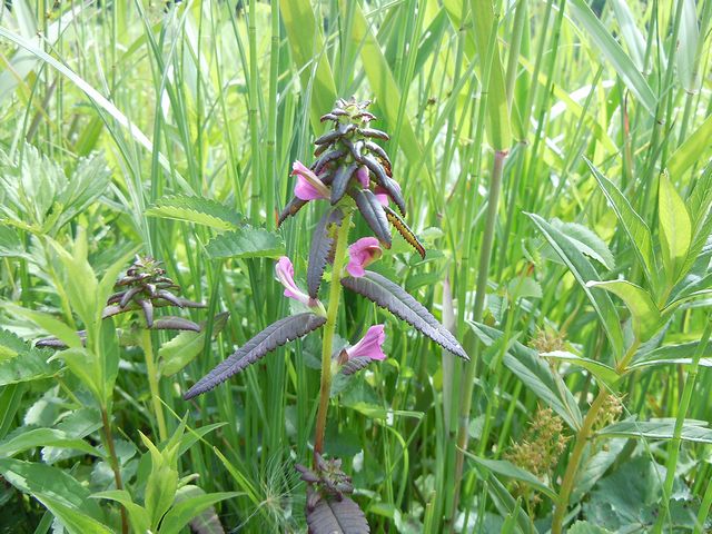 �V�I�K�}�M�N