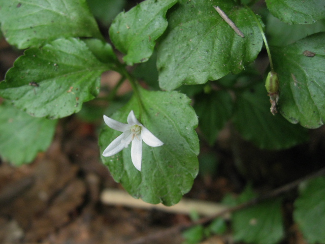 �^�j�M�L���E