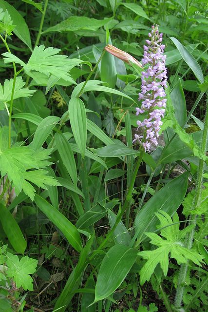 �e�K�^�`�h��