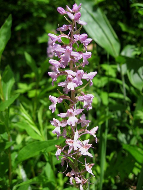 �e�K�^�`�h��