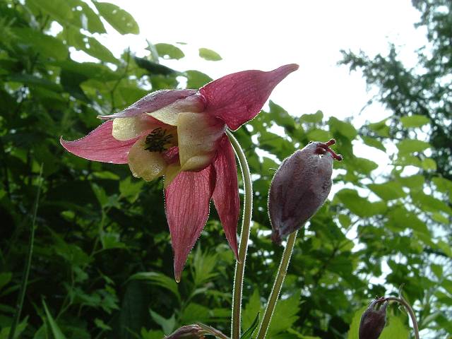 ���}�I�_�}�L