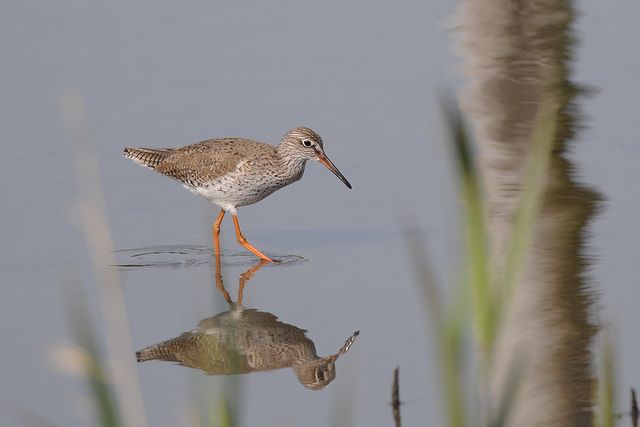 �A�J�A�V�V�M