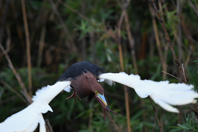 �A�J�K�V���T�M