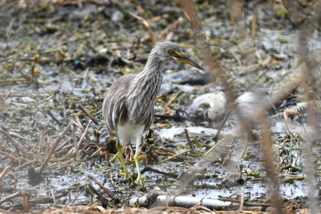 �A�J�K�V���T�M