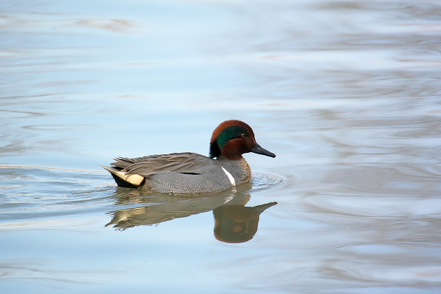 �A�����J�R�K��