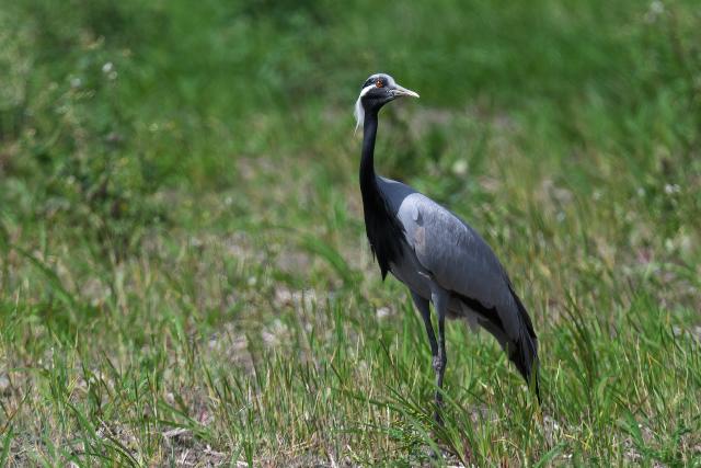 �A�l�n�d��