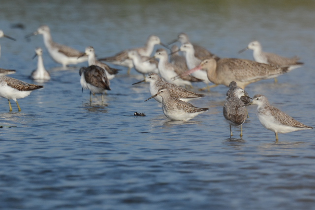 �A�V�i�K�V�M�@������O������