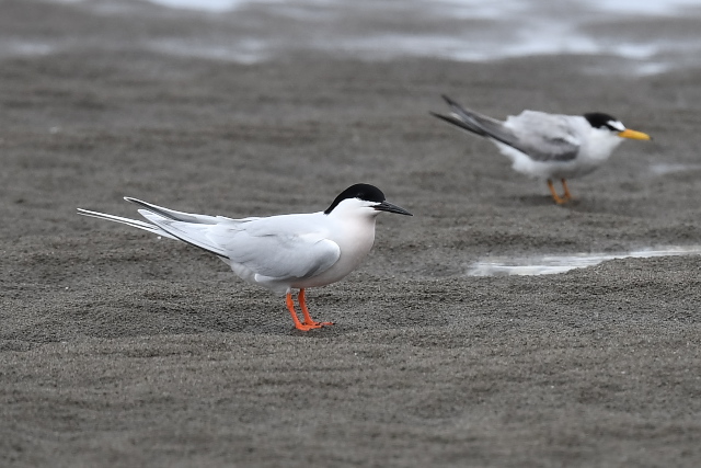 �x�j�A�W�T�V